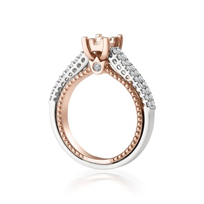 Gold Hoop Earrings for Women