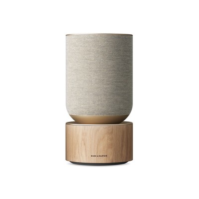 Peak Wireless Outdoor Speaker with Subwoofer
